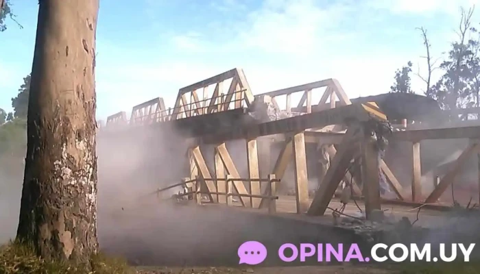 Velazquez -  Videos - Velazquez