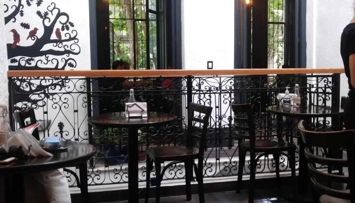 Verde Comidas Naturales -  Todo - Montevideo