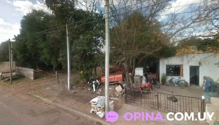 Verdulería Al Toke - Departamento De Colonia