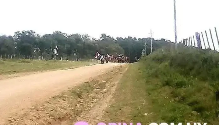 Vergara -  Videos - Vergara