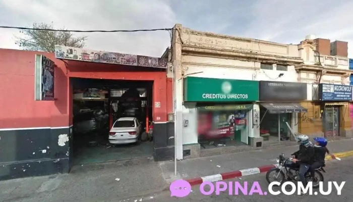 Veterinaria - 11900 Montevideo