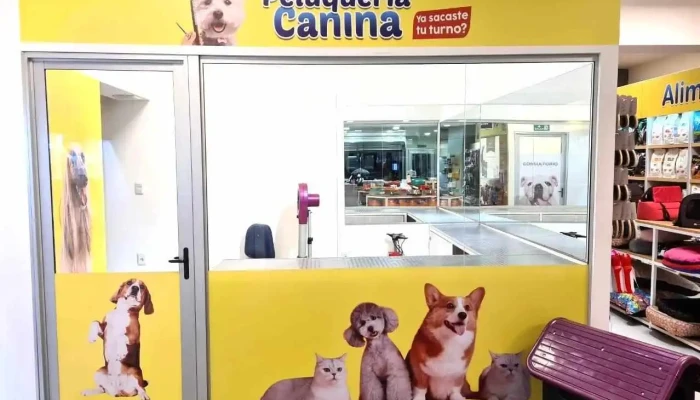 Veterinaria Alem - 11300 Montevideo