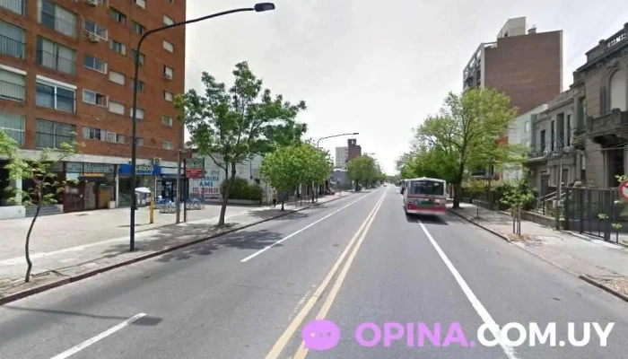 Veterinaria Ami - Montevideo