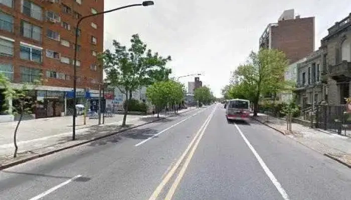 Veterinaria Ami -  Puntaje - Montevideo