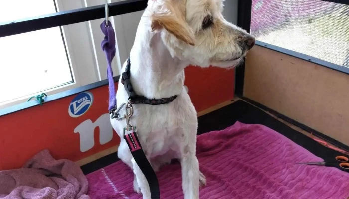 Veterinaria Animal Vet - Av. A La Playa Esquina