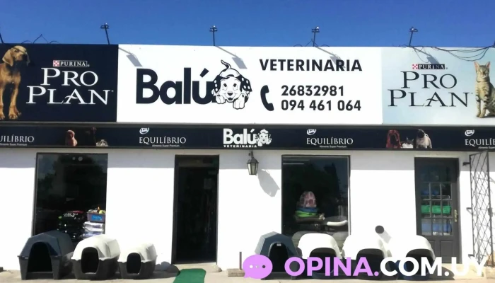 Veterinaria Balú Shangrila - 15001 Ciudad De La Costa