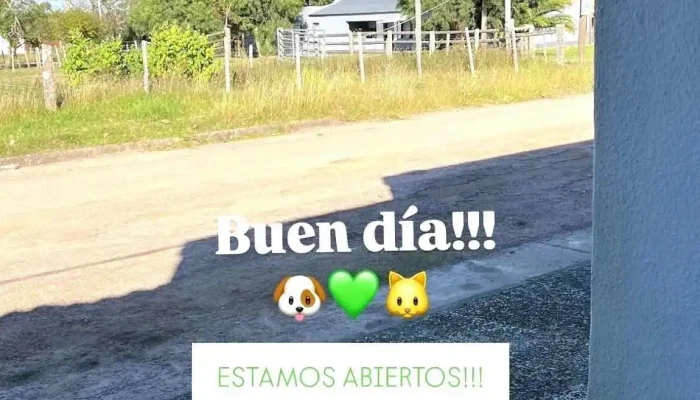 Veterinaria Canela - 30204 Cerro Chato