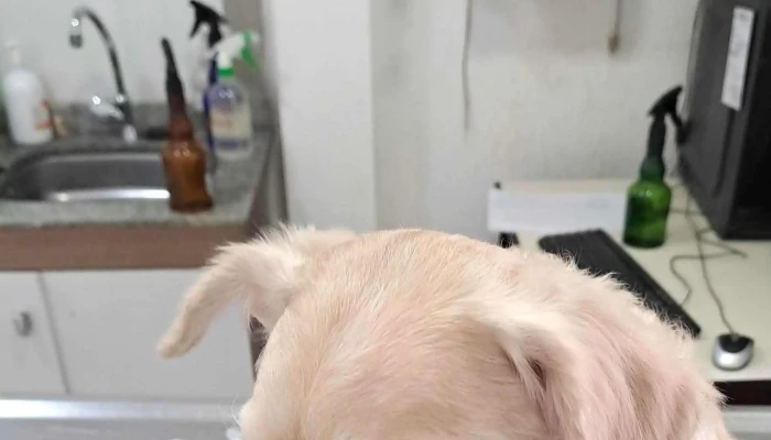 Veterinaria Cuchilla Grande -  Abierto Ahora - Montevideo