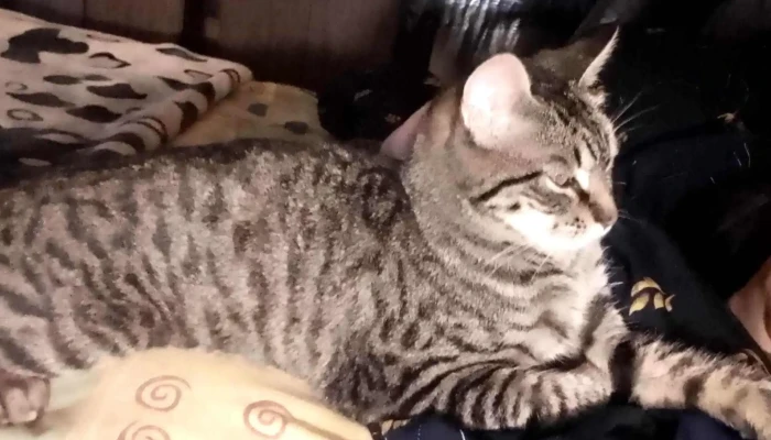 Veterinaria Cuchilla Grande -  Catalogo - Montevideo