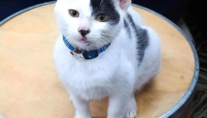 Veterinaria De la Plaza - Departamento De Montevideo