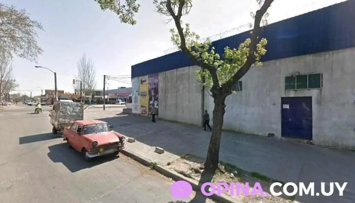 Veterinaria Dos Teros - 13000 Montevideo