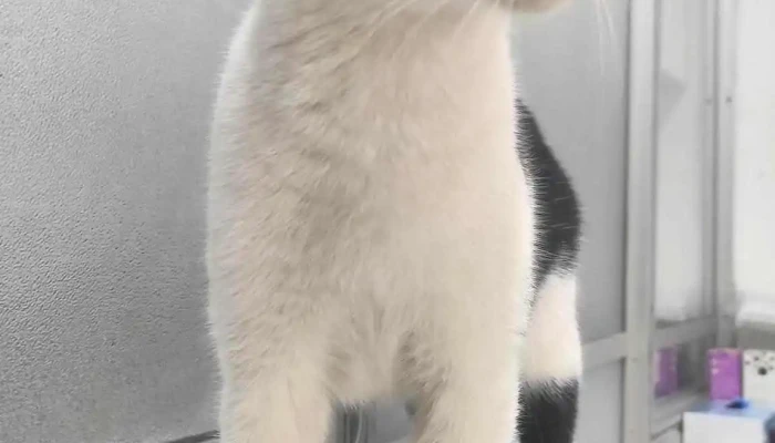 Veterinaria El Oriental - Departamento De Canelones