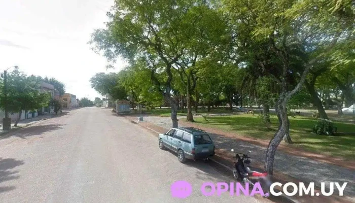 Veterinaria El Parao - 31100 Vergara