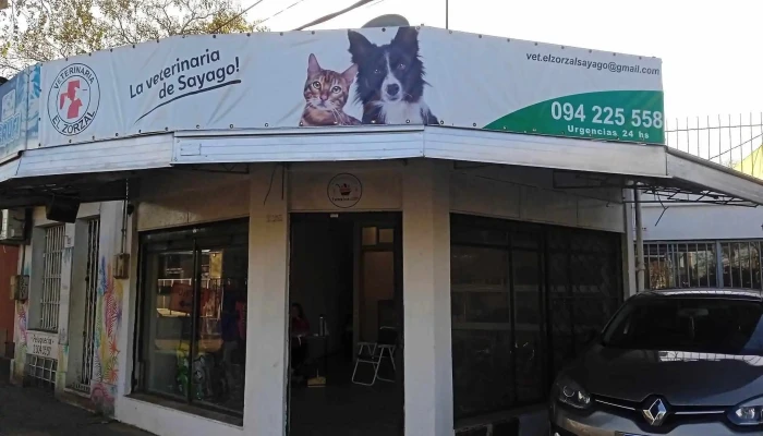 Veterinaria El Zorzal - 12900 Montevideo