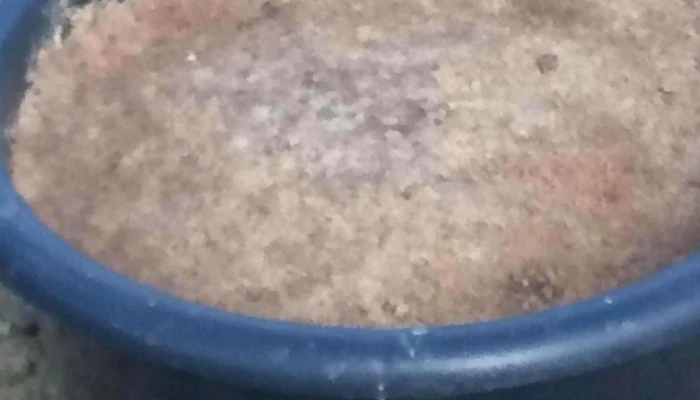 Veterinaria Fraschini Guichón - Guichón