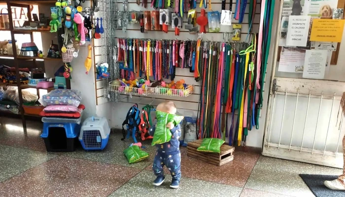 Veterinaria Independencia -  Melo - Melo