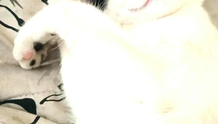 Veterinaria La Baguala Donde - Paysandú