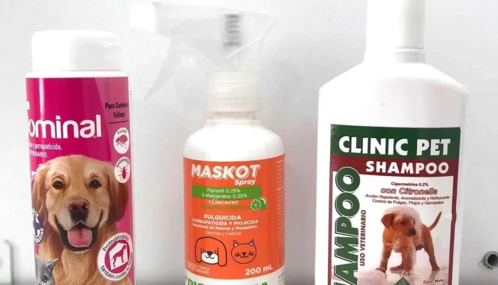 Veterinaria La Baguala Ii Del Propietario - Paysandú