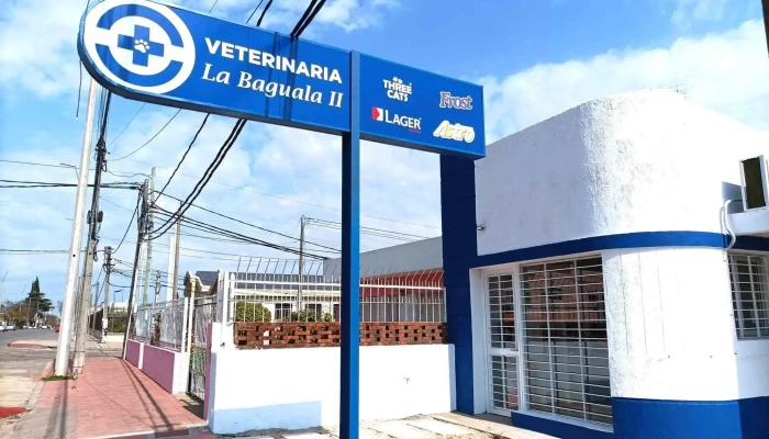 Veterinaria La Baguala Ii Direccion - Paysandú