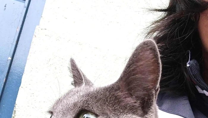 Veterinaria La Baguala Paysandu - Paysandú