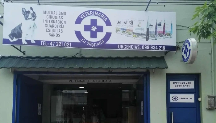 Veterinaria La Baguala Sitio Web - Paysandú