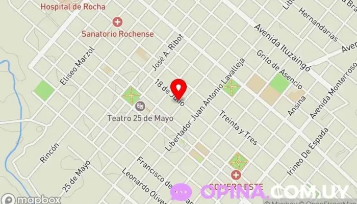 mapa de Veterinaria La Manada Veterinario en Rocha