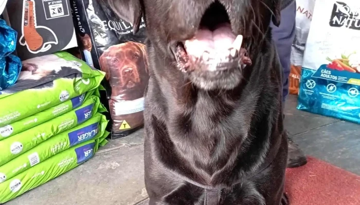 Veterinaria La Siete - 15300 Parque Del Plata