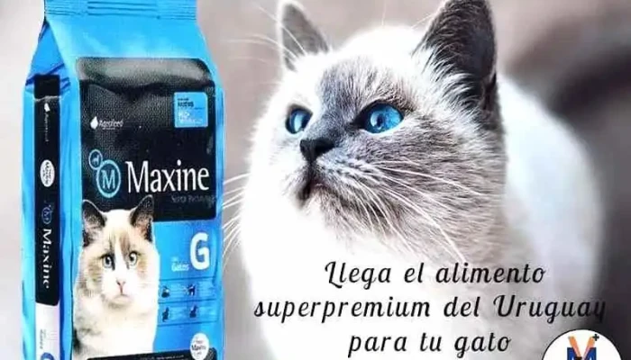 Veterinaria Machado. - Av. Feliciano Viera 807