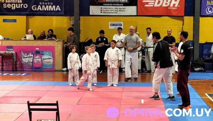 Veterinaria Manchester - 11800 Montevideo