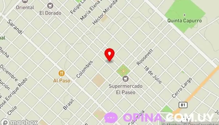 mapa de Veterinaria Petricor Santa Lucía Veterinario, Servicio de urgencias veterinarias, Peluquero de mascotas, Tienda de productos para mascotas en Santa Lucía