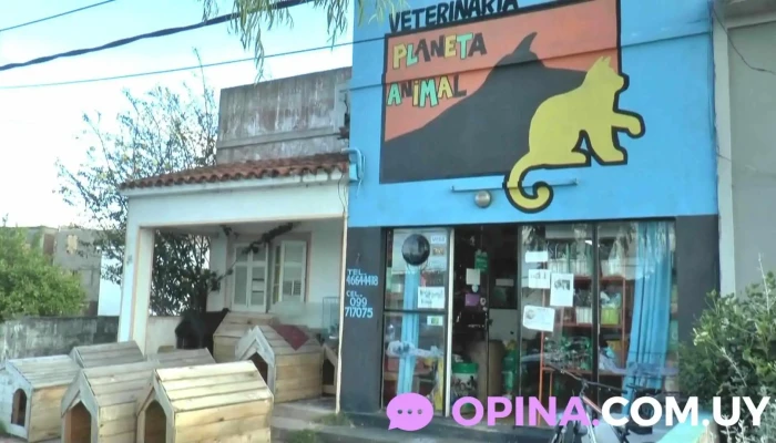 Veterinaria Planeta Animal - 45100 Paso De Los Toros