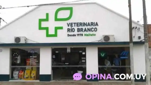 Veterinaria Río Branco - 37100 Rio Branco