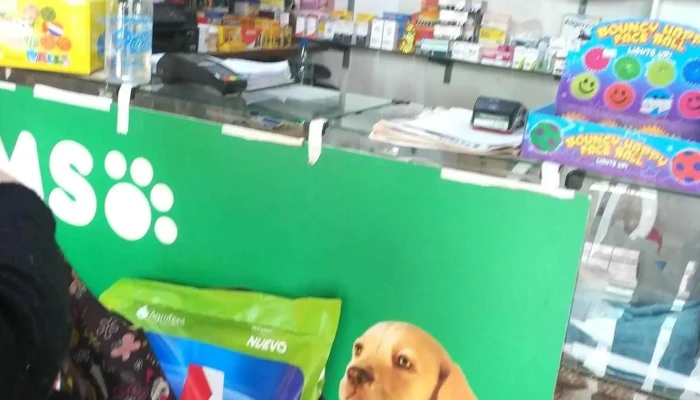 Veterinaria Rivera -  Perro - Santa Lucía