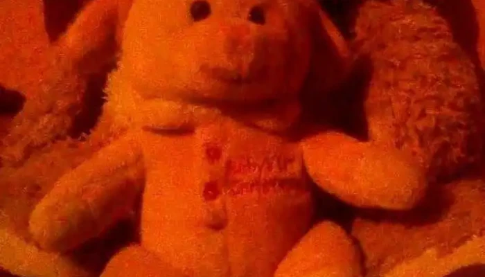 Veterinaria Sangre Nueva - Jose Hilario Uriarte 1110