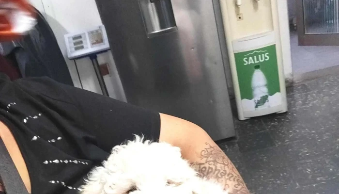 Veterinaria Santa Lucia Descuentos - Montevideo