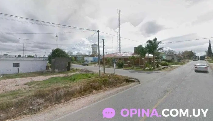 Veterinaria Tala - 91800 Tala