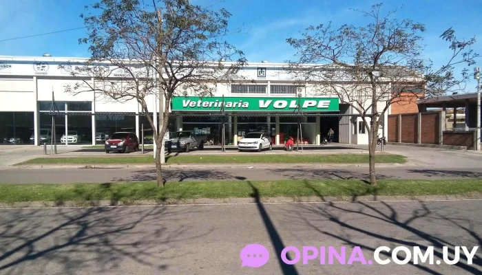 Veterinaria Volpe S.r.l. - Paysandú