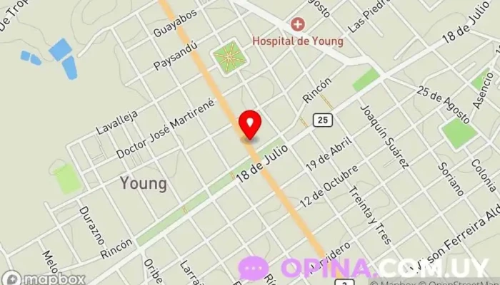 mapa de Veterinaria Young Cuidados veterinarios, Servicios de emergencias en Young