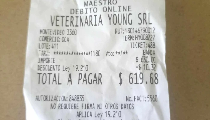 Veterinaria Young -  Telefono - Young