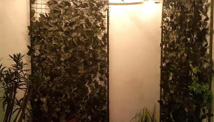 Viajeros Disco Pub -  Comentario 7 - Montevideo