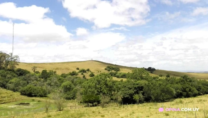 Vichadero -  Todo - Vichadero