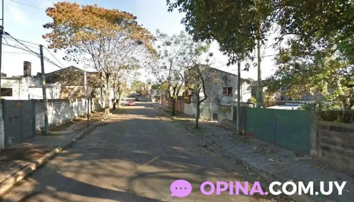 Vicky peinados unisex - 50000 Salto