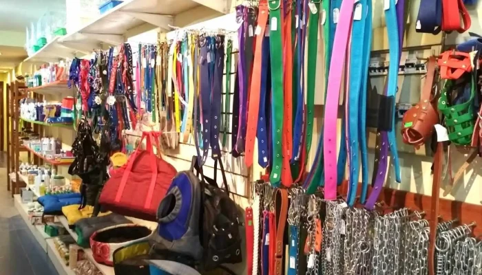 Vida Silvestre - Melo