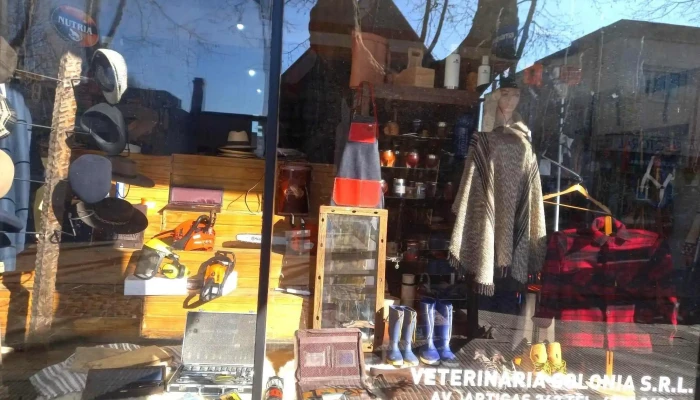 Vieja Veterinaria Colonia - 70000 Col. Del Sacramento