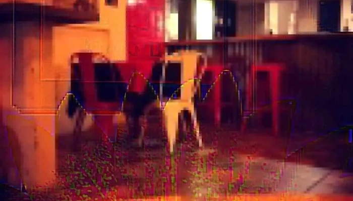 Viejo Bar -  Ambiente - Ciudad de la Costa