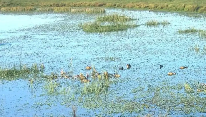 Vila Nova Country -  De Los Visitantes - Santa Bernardina