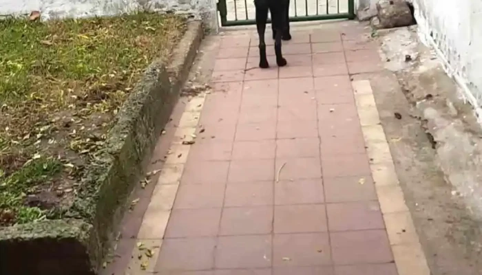 Villa Del Cerro -  Videos - Montevideo