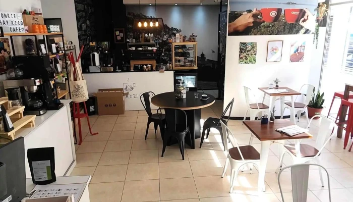 Villa Dora Cafe Comentario 4 - Montevideo