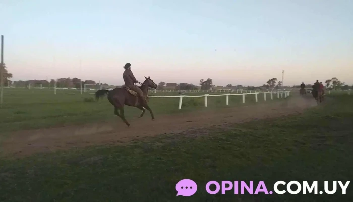 Villa Sara -  Videos - Villa Sara