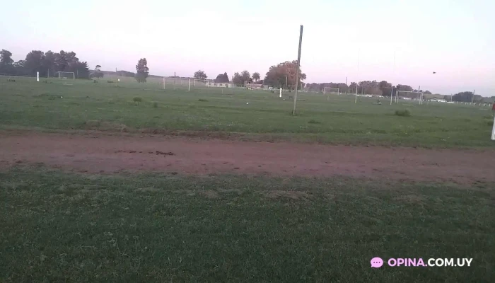 Villa Sara -  Videos - Villa Sara